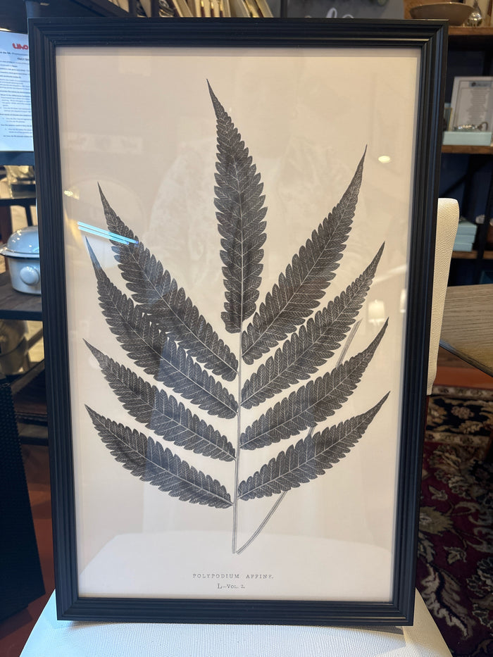FERN PRINT RH POLYPODIUM AFFINE