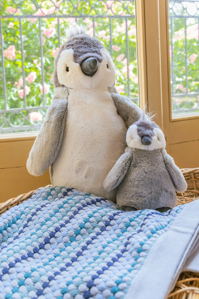 Paulo the Penguin
