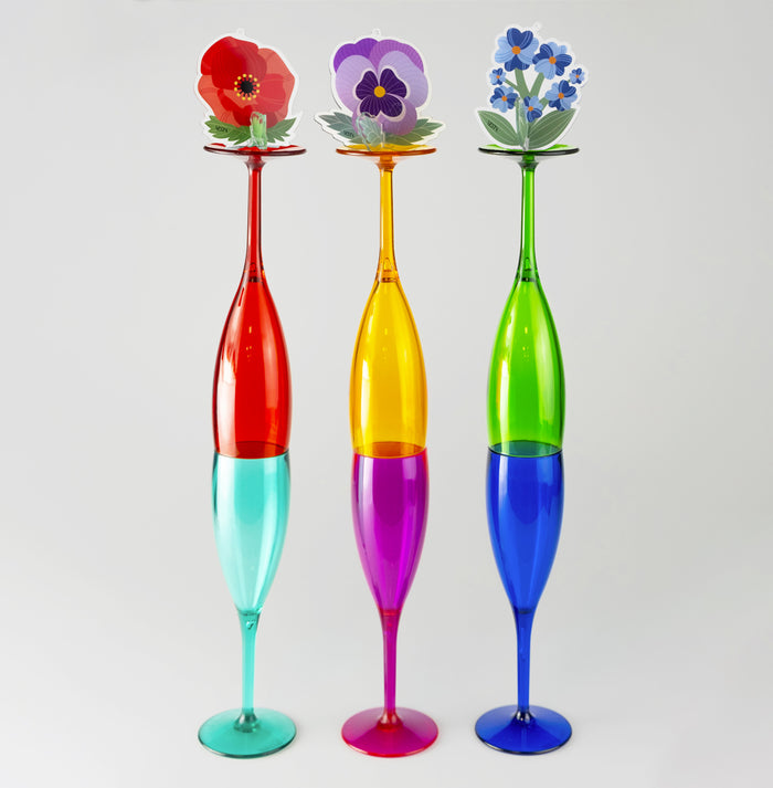 Set 6 Flutes Party