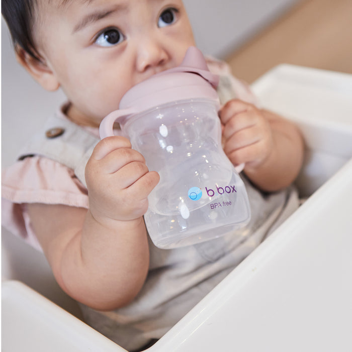 bbox Spout Cup 240ml - Sage