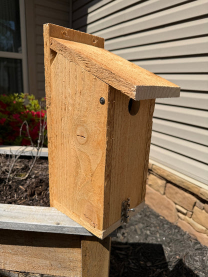 Bluebird House