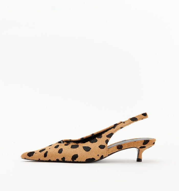 Leopard Pony / 35