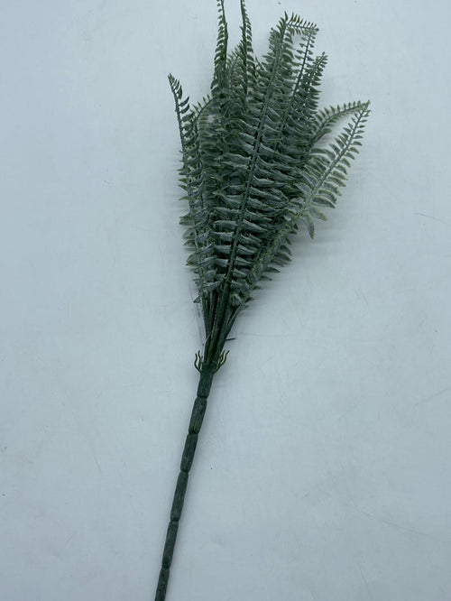 FERN BUSH POWDERED 20"