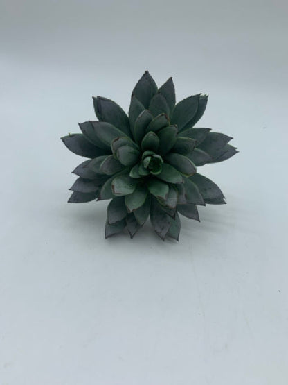 GREEN & BURGUNDY SUCCULENT PICK 6.25"