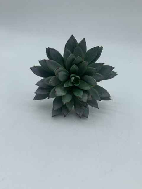 GREEN & BURGUNDY SUCCULENT PICK 6.25"