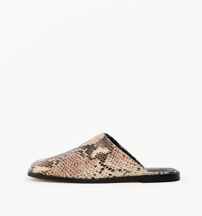 Sand Snake / 35