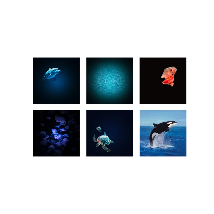 KIDYSTAR Ocean and Seas Image Projector & Speaker