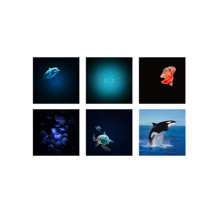 KIDYSTAR Ocean and Seas Image Projector & Speaker