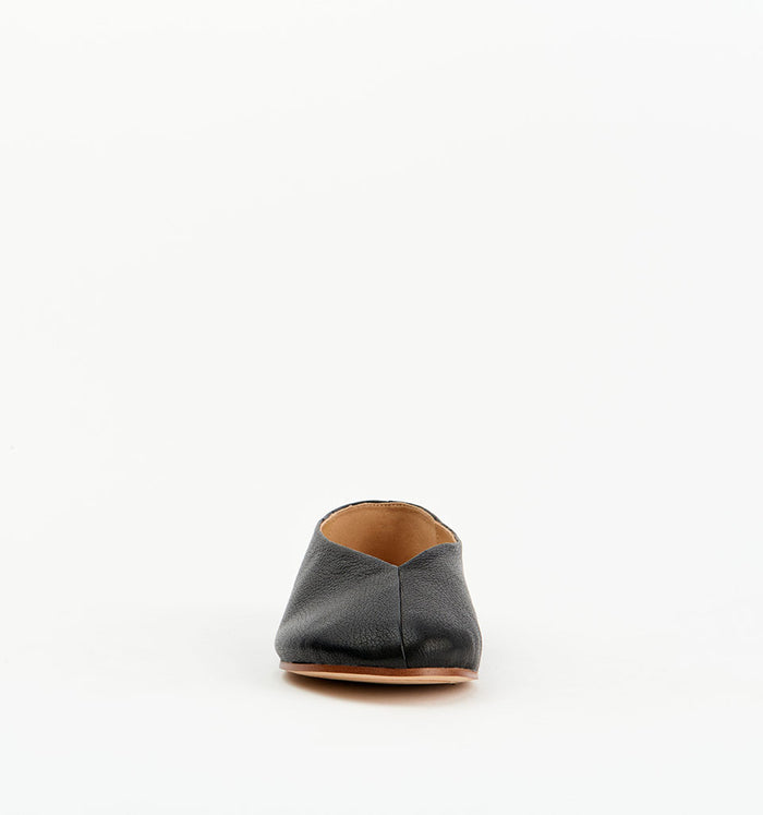 Koa