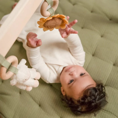 Little Farm Wooden Baby Gym (DAMAGED PACKAGING)
