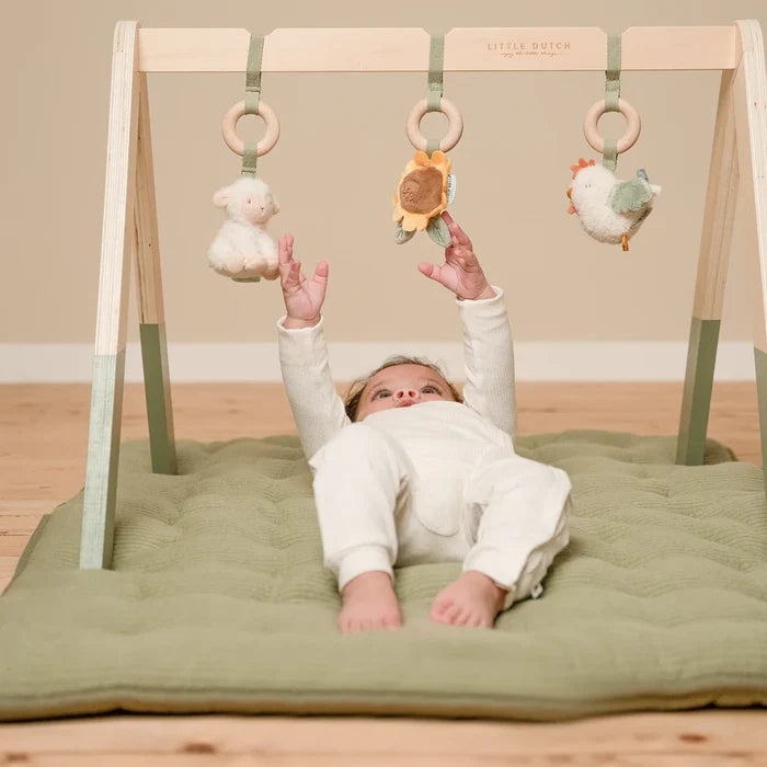 Little Farm Wooden Baby Gym (DAMAGED PACKAGING)