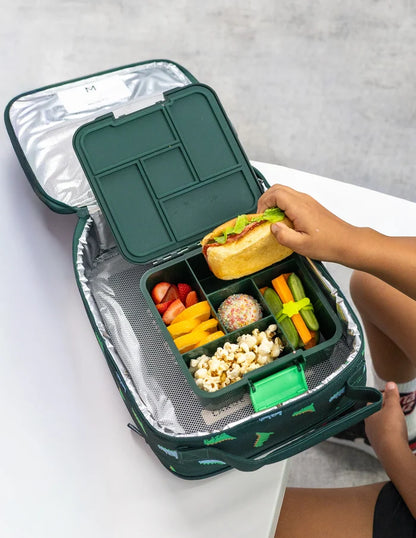 Montiico Bento Five Lunch Box - Dinosaur