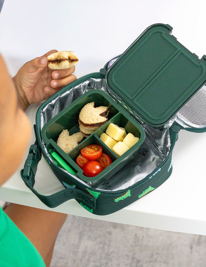 Montiico Bento Two Snack Box - Dinosaur
