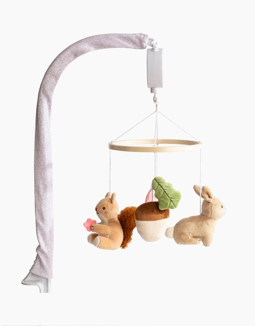 Musical Mobile Set - Whimsical Wonderland