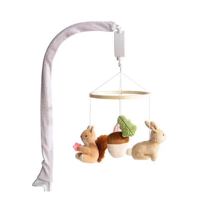 Musical Mobile Set - Whimsical Wonderland