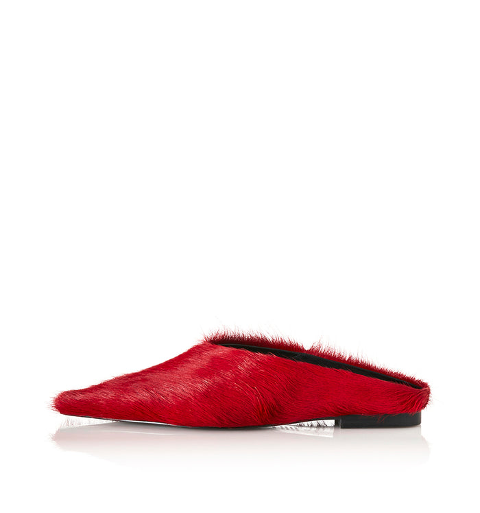 Scarlet Pony / 35