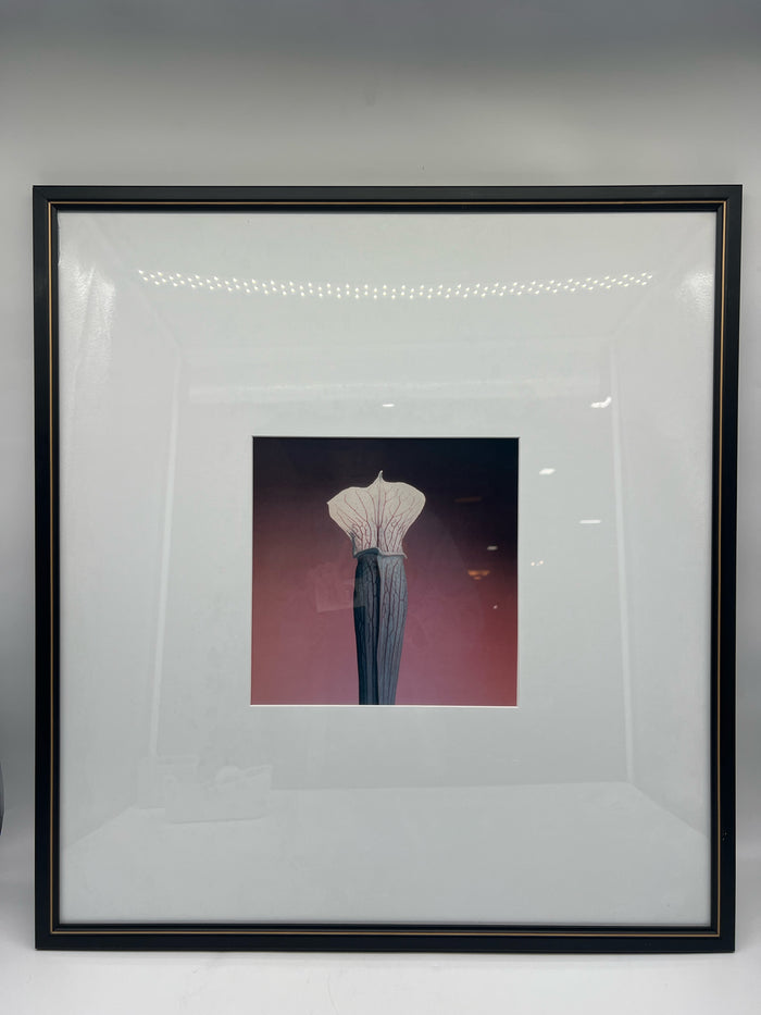PRINT BLACK & WHITE FLOWERS FRAMED #3