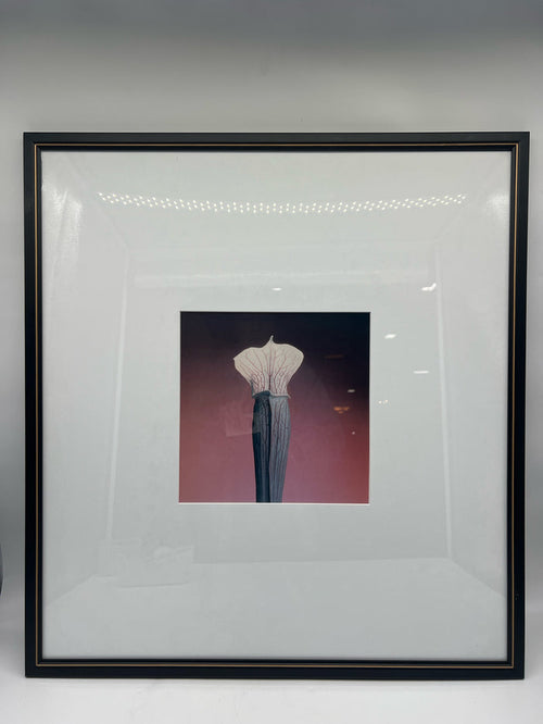 PRINT BLACK & WHITE FLOWERS FRAMED #3