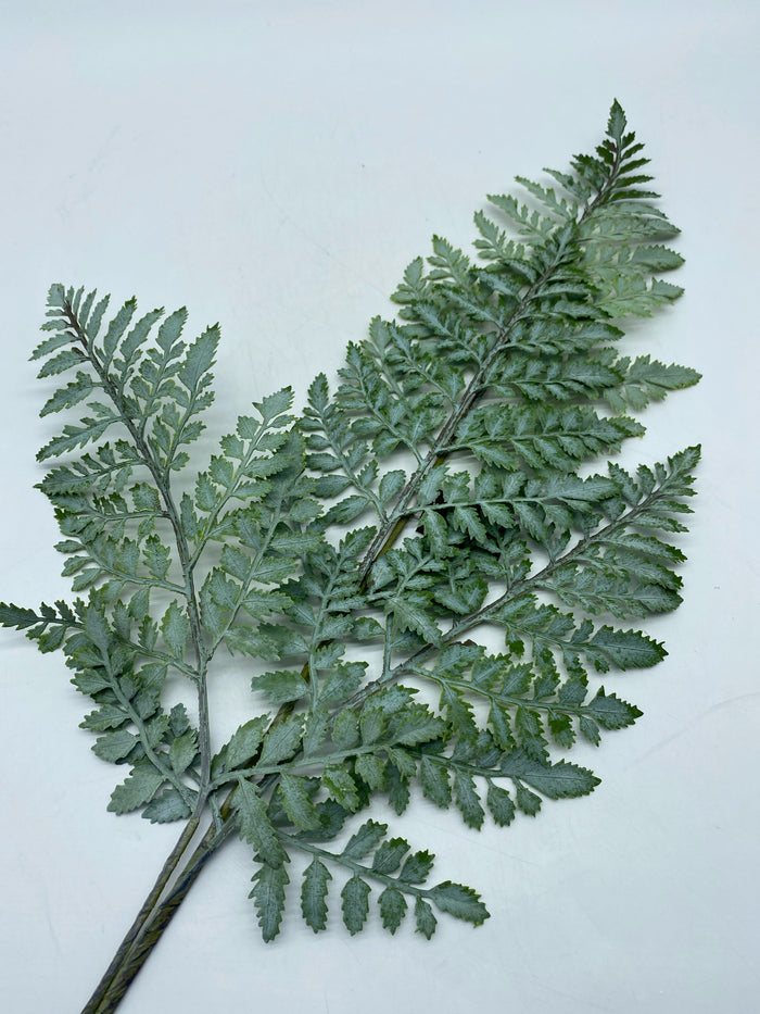 REAL TOUCH ROYAL FERN STEM 35"