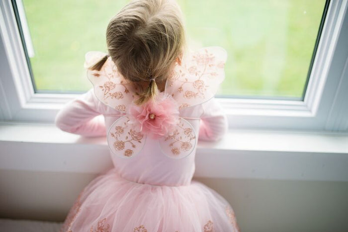 Rose Gold Tutu & Wings Set | Size 4-6