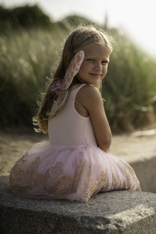 Rose Gold Tutu & Wings Set | Size 4-6