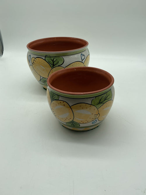 SET OF 2 BOWLS LEMON DETAIL