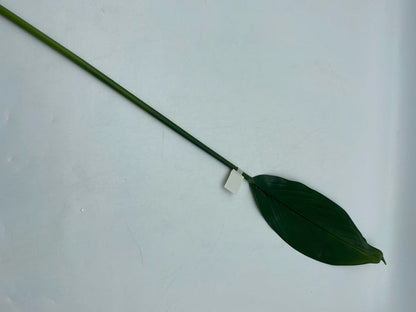 SILK PEACE LILY LEAF STEM