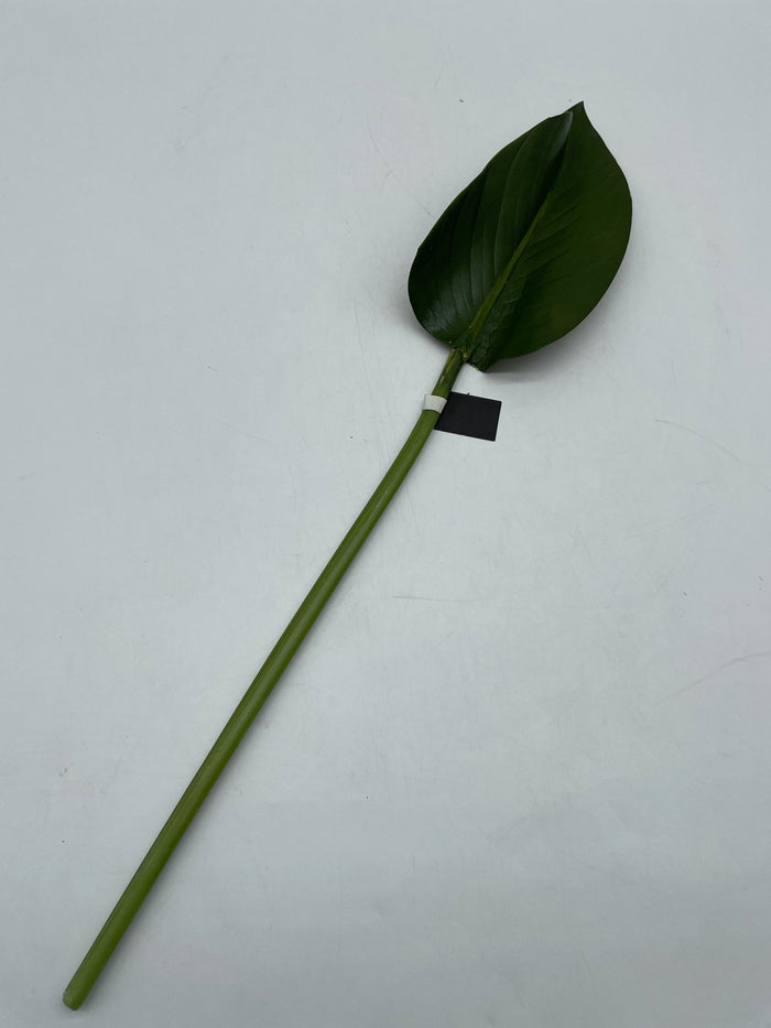SILK RUBBER FIG LEAF STEM