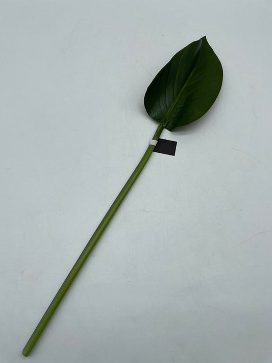 SILK RUBBER FIG LEAF STEM