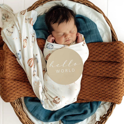 Snuggle Hunny Reversible Milestone Cards - Up & Away & Pebble