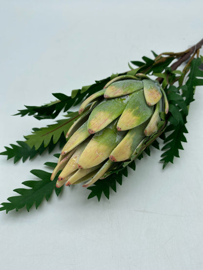 STEM YELLOW & GREEN PROTEA WITH FOLIAGE