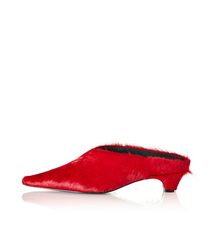 Scarlet Pony / 35