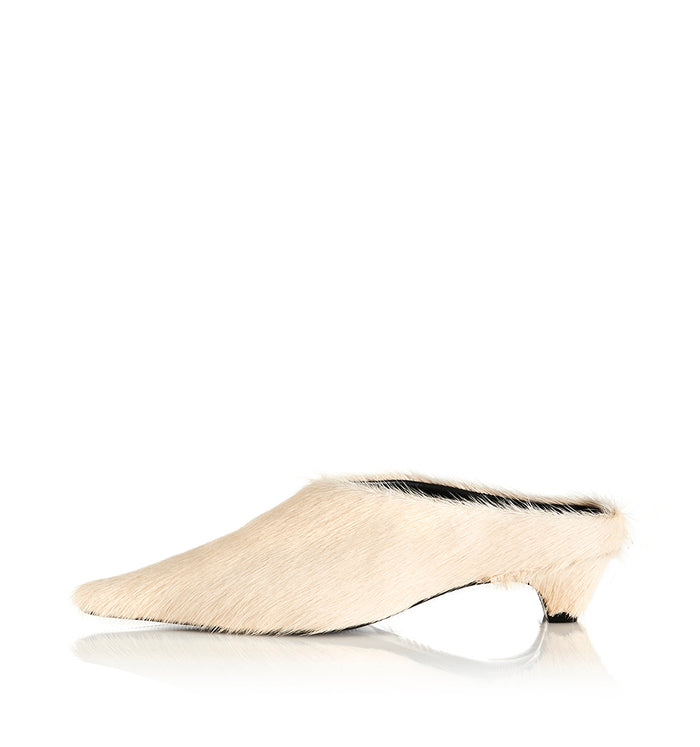 Buttermilk Pony / 35