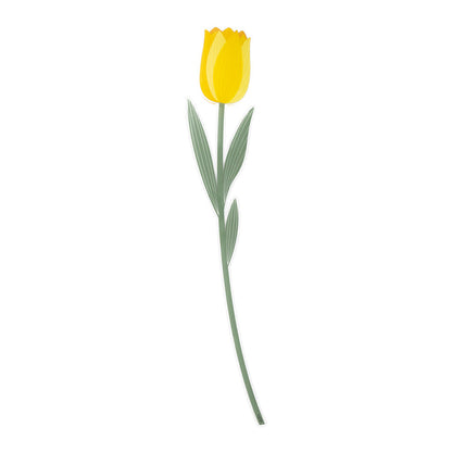 Tulip Large Funny Flowers