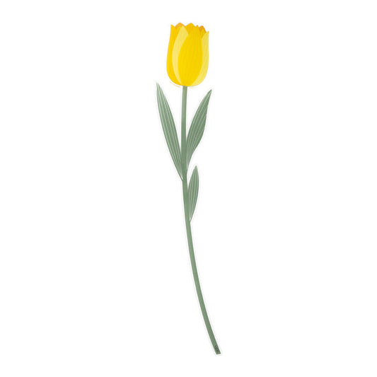 Tulip Large Funny Flowers