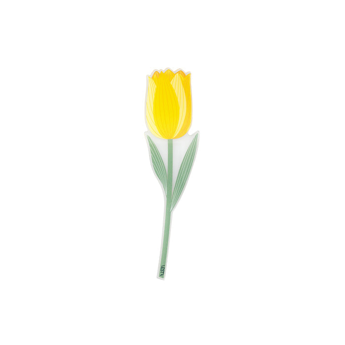 Tulip Special Moments