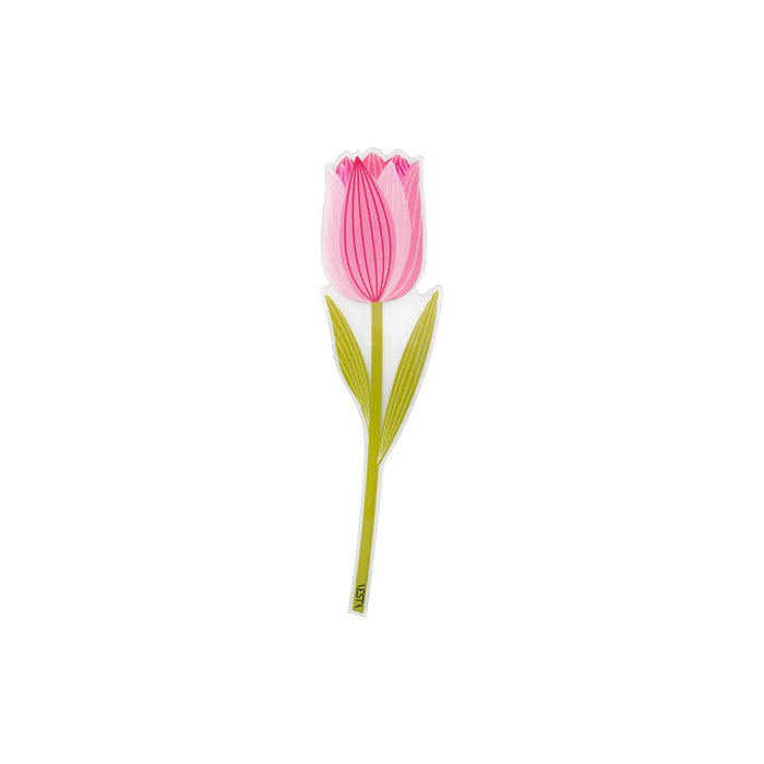 Tulip Special Moments